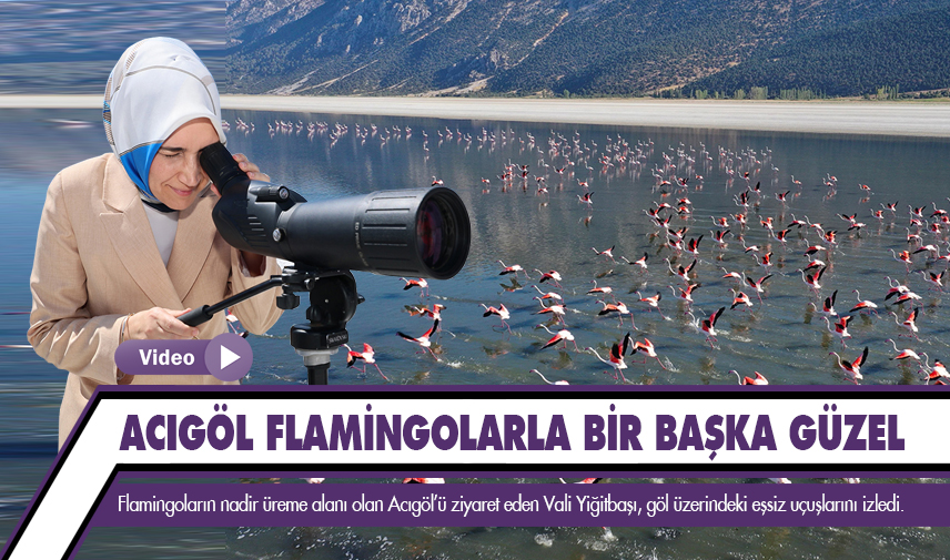 Acıgöl flamingolarla bir başka güzel